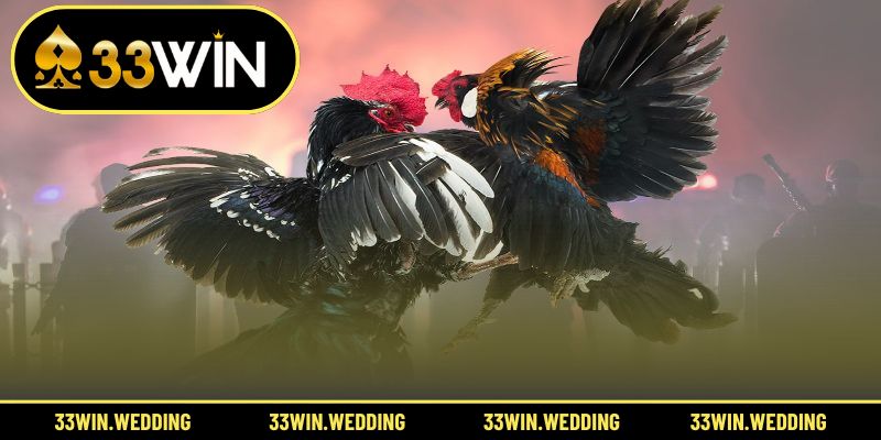 Khám phá điểm mạnh chinh phục mọi người đam mê cá cược.