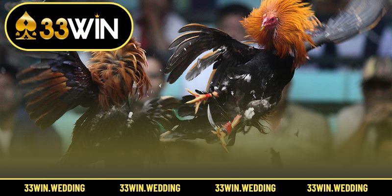 Hướng dẫn thao tác nhanh giúp anh em nhập cuộc trong tích tắc