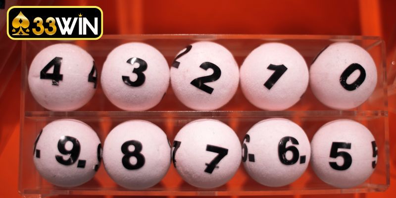 Kỹ năng quản trị vốn trong nuôi lô khung